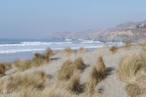 Dillon Beach