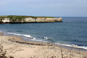 Natural Bridges beach