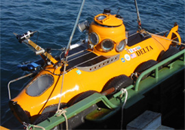 Delta Sumbersible