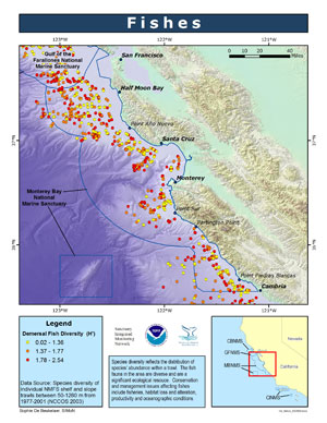 fishes map