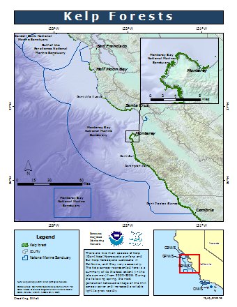 kelp canopy map