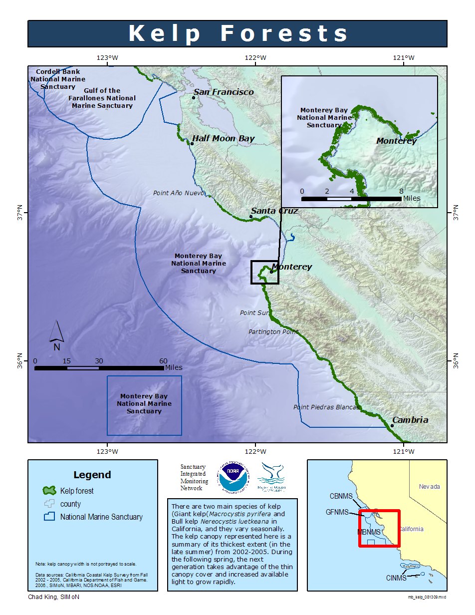 Image1