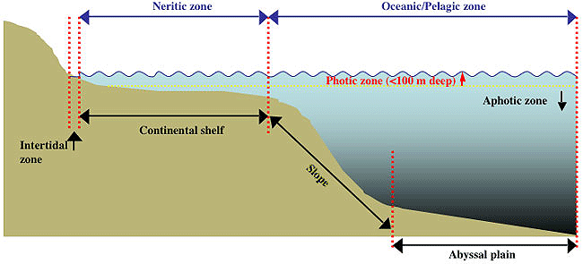 Image1