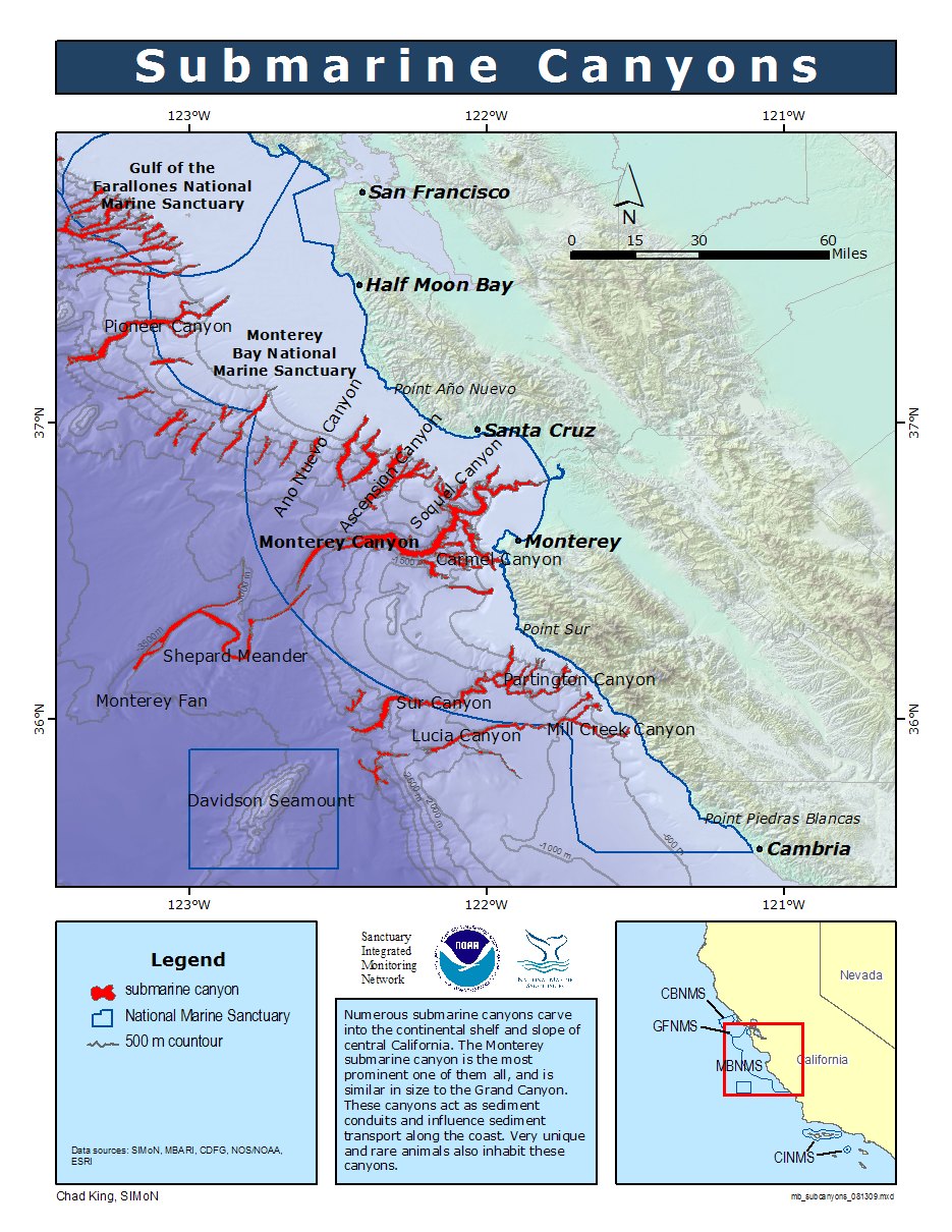 Image1