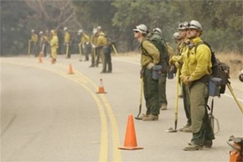 Wildland fire fighters
