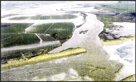 aerial flood image