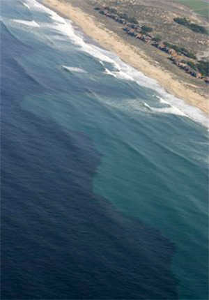 Algae bloom visible from the air