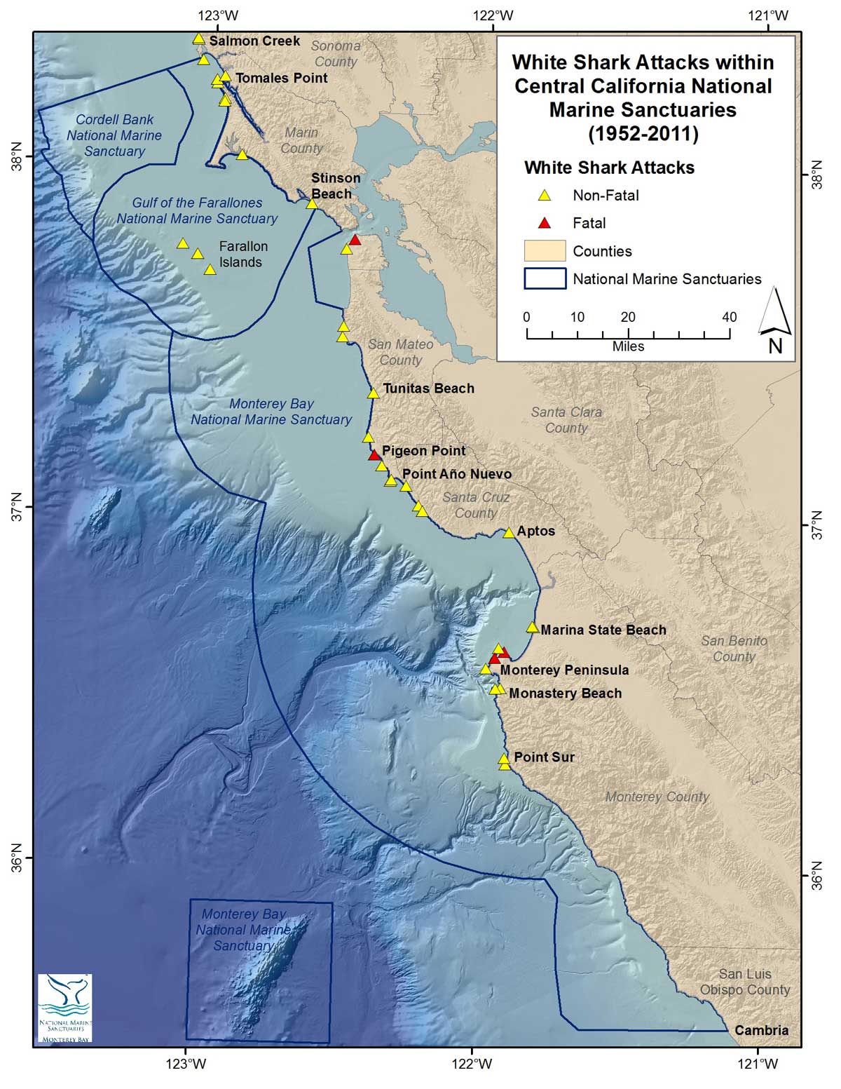 Shark attacks within the central California region