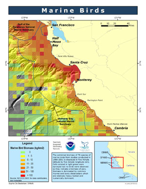seabirds and shorebirds map