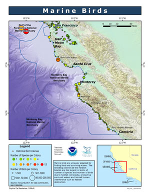 seabirds and shorebirds map