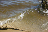 Brown water