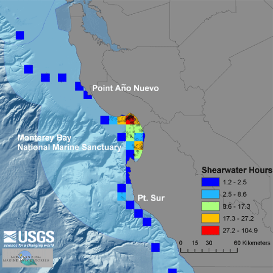 Sooty Shearwaters map