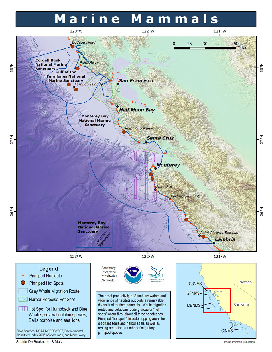 marine mammals map
