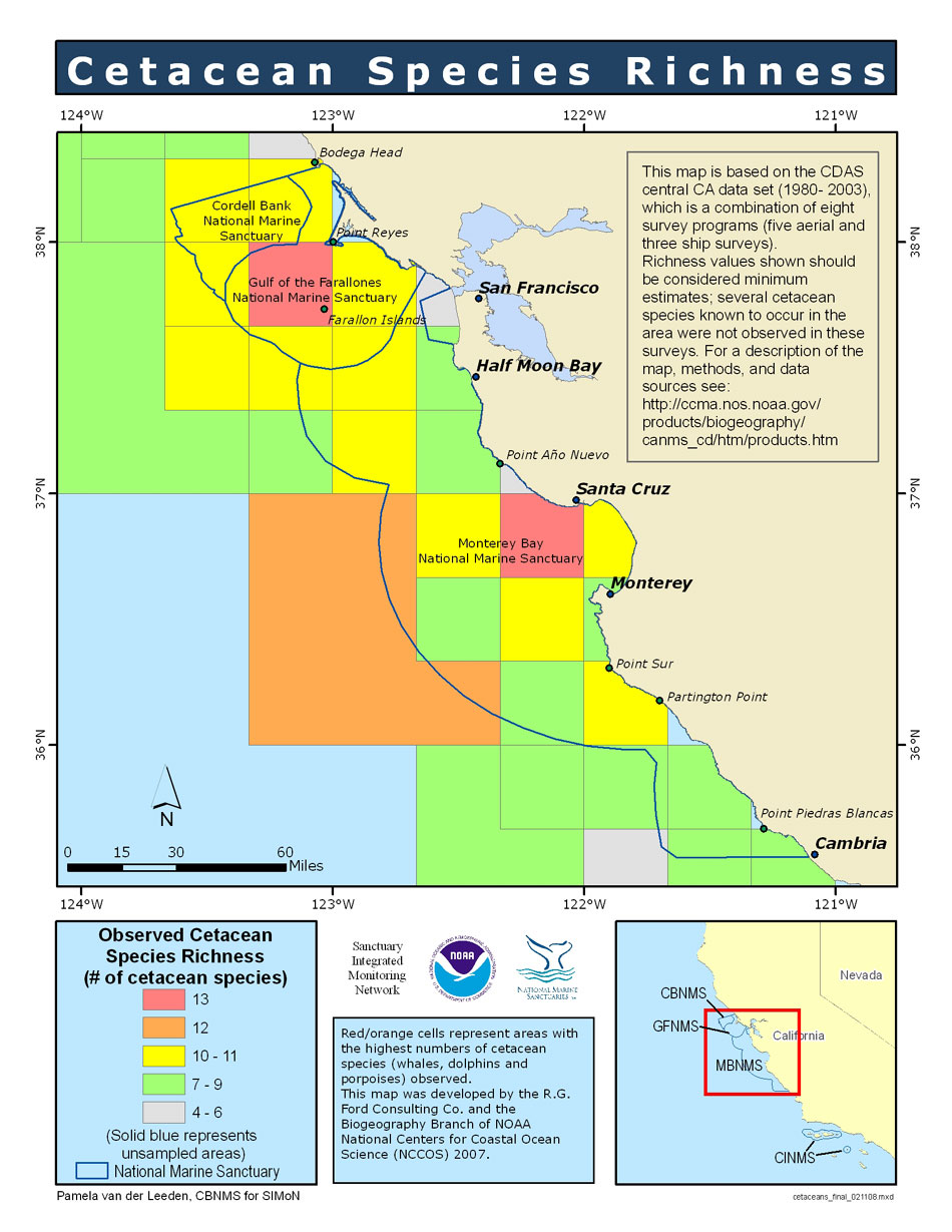 cetacean richness map