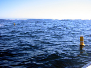 WCO mooring
