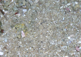 Sandy floor
