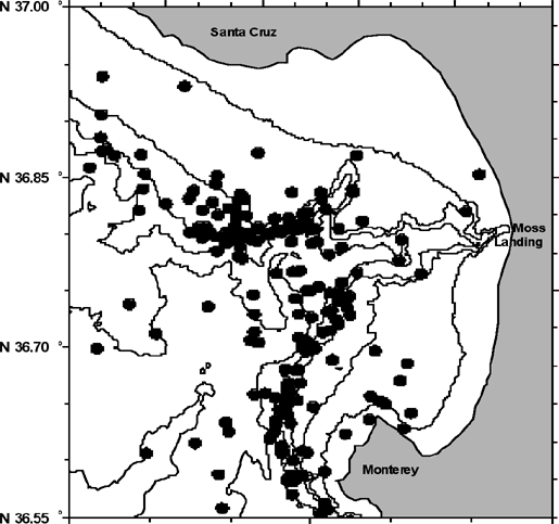 Blue whale sighting map