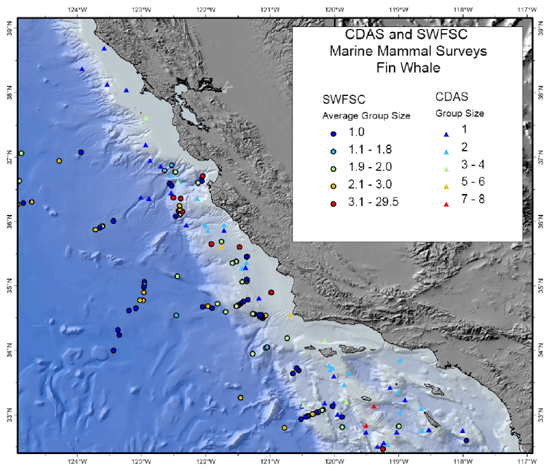 Fin whale sightings map