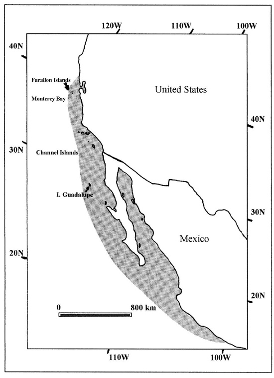 Geographic distribution of Guadalupe fur seal