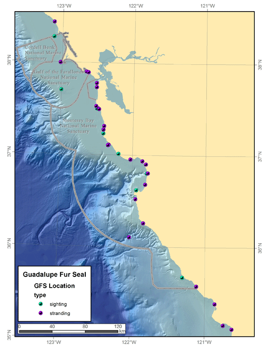 Location of sightings and strands of Guadalupe fur seals