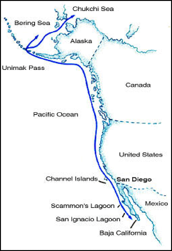 Migration route map