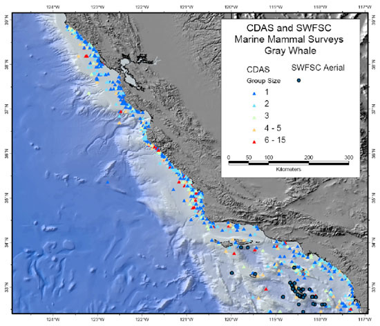 Gray whale sighting map