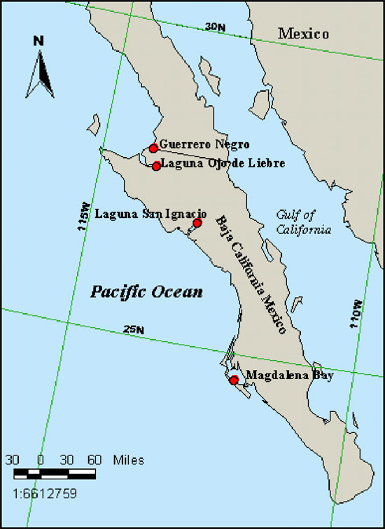 Lagoons map