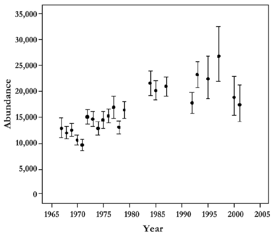 Gray whale abundance