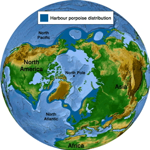 Harbor porpoise distribution map