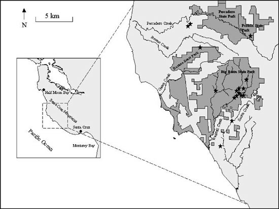 MAMU nesting map
