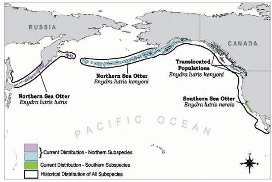Otter map