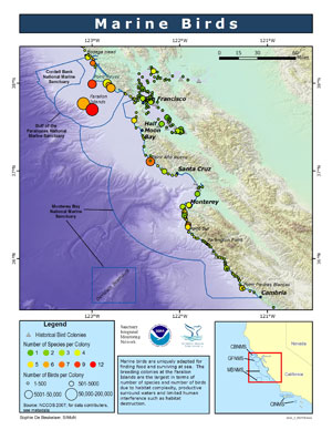 seabirds and shorebirds map