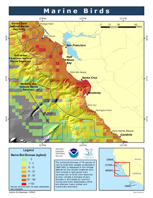 seabirds and shorebirds map