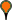 CCAMP Program